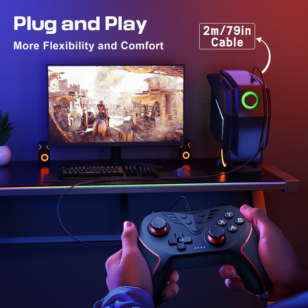 Wired Controller for PC with 2 Mapping Buttons (Model: T43)